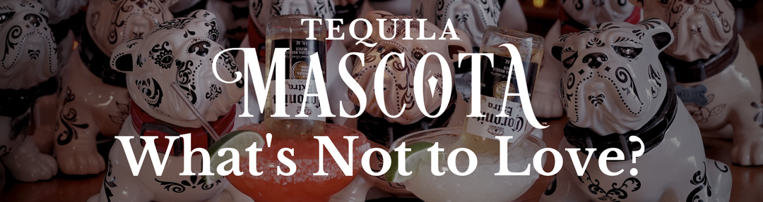 Mascota Tequila - What's Not to Love?