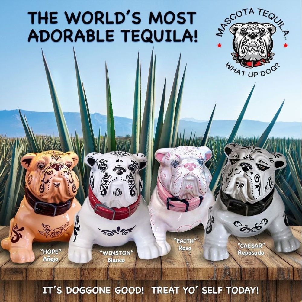 Mascota Tequila Bundle