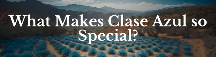 What Makes Clase Azul so Special?