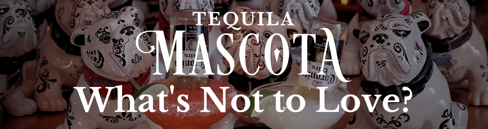 Mascota Tequila - What's Not to Love?