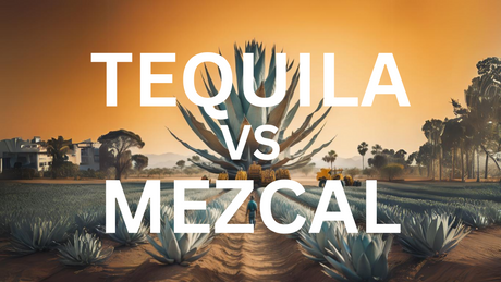 Tequila vs Mezcal