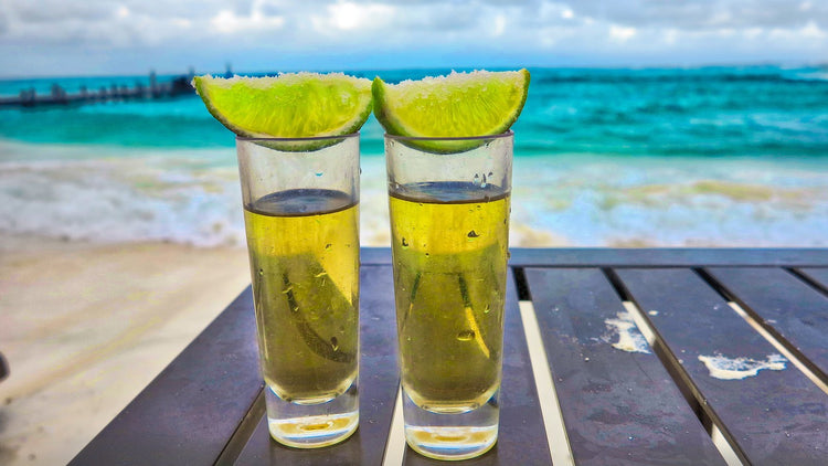 Blanco Tequila vs Reposado Tequila: What's the Difference?